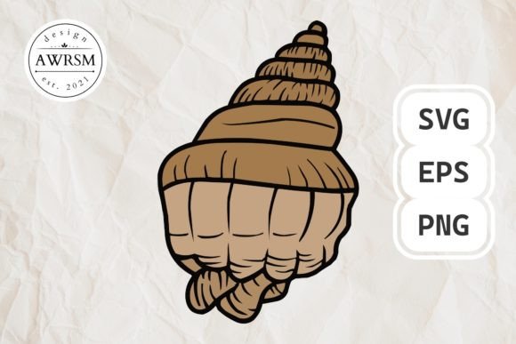 Download Clamshell SVG Vector, Seashell Clipart - Shell Collection