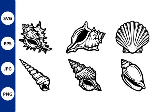 Download Shell Line Art Set - Shell Collection