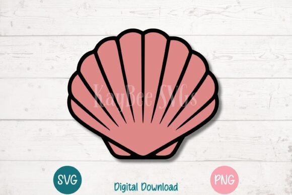 Download Scallop Sea Shell - Shell Collection