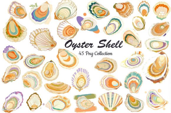Download Watercolor Oyster Shell Clipart - Shell Collection