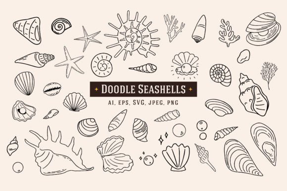 Download 40 Doodle Seashells - Shell Collection