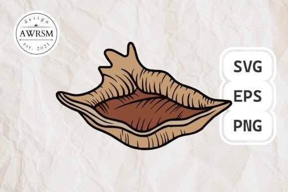 Download Clamshell SVG Vector, Seashell Clipart - Shell Collection