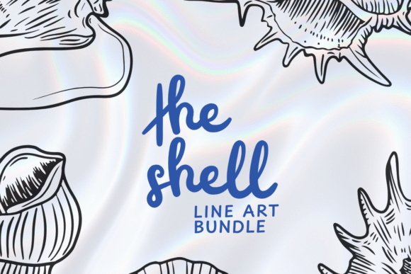 Download Seashell Clip Art Bundle - Shell Collection