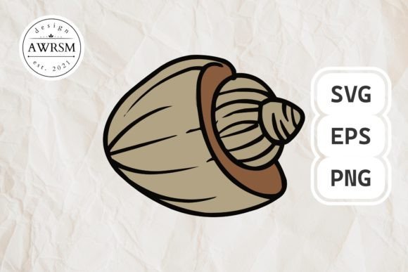Download Clamshell SVG Vector, Seashell Clipart - Shell Collection