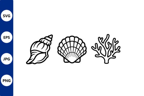 Download Shell Line Art Set Conch Scallop Coral - Shell Collection