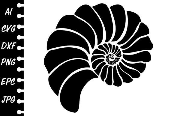 Download Stencil Shell Spiral - Premium Resources