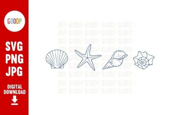 Download Coastal Seashell Line Art PNG - Shell Collection