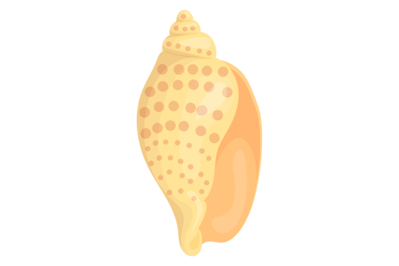 Download Rock Shell. Yellow Tropical Cockleshell - Shell Collection