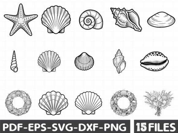 Download Coastal Seashell Svg Line Art - Shell Collection