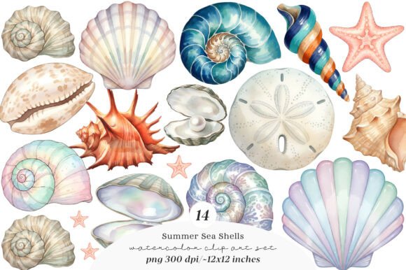 Download Sea Shells Clipart Bundle - Shell Collection