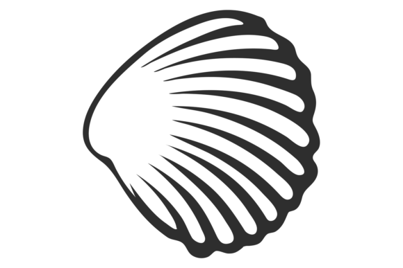 Download Cockle Shell Line Icon. Black Underwater - Shell Collection